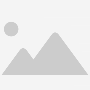 Tenth Horizon Profile