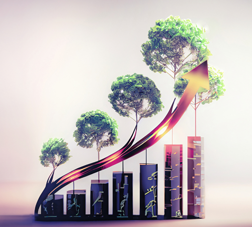 Strategic planning image of trees maturing signifying growth over time.